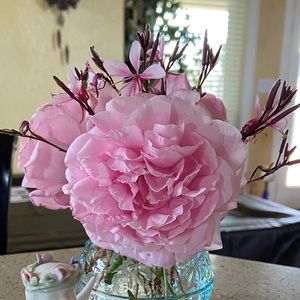 Meet your Posher, Tori